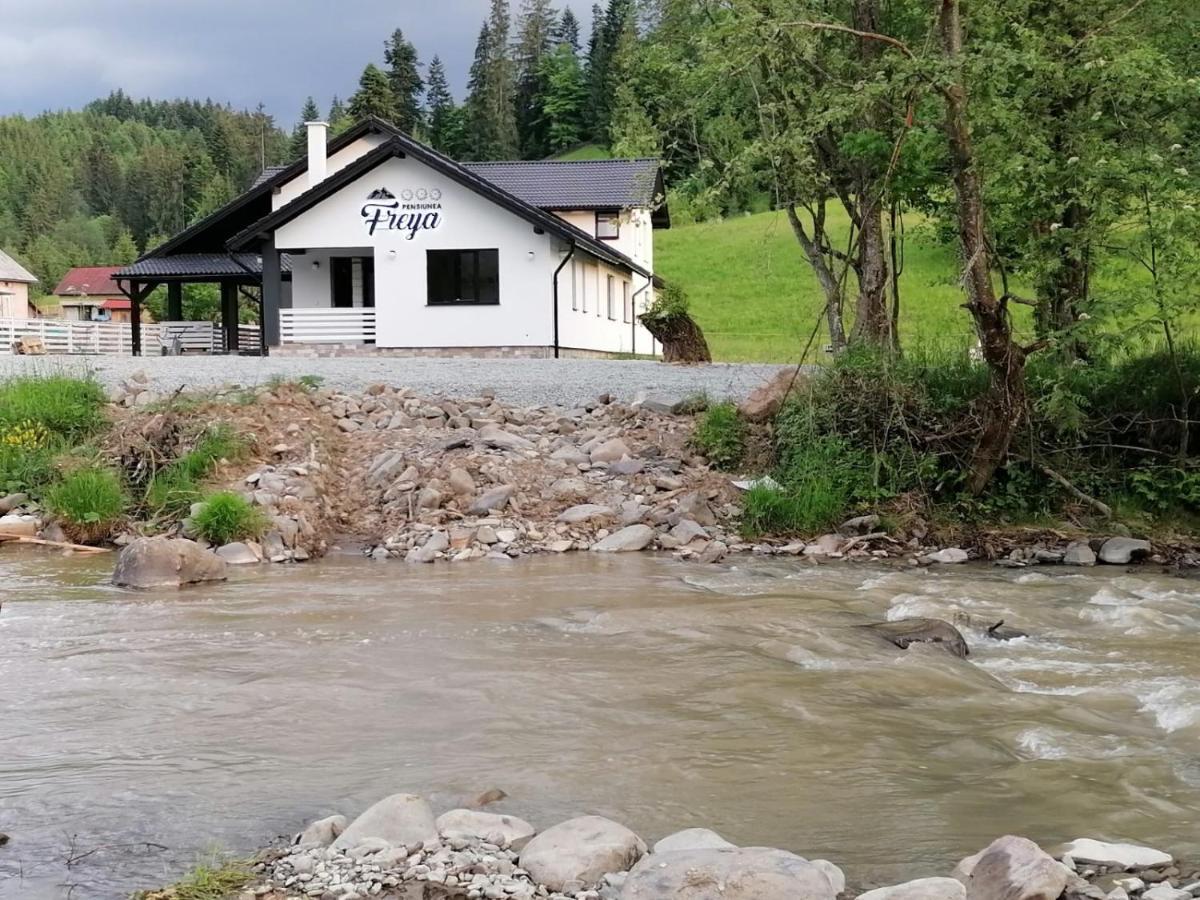Pensiunea Freya Colibiţa Buitenkant foto