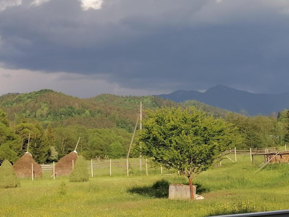 Pensiunea Freya Colibiţa Buitenkant foto